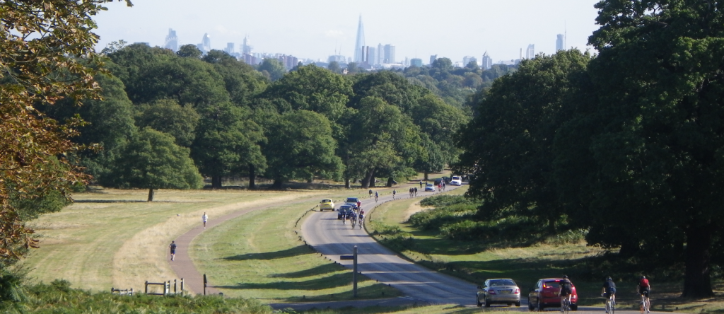 Skyline of the city poking up from behind trees, with a road and grassy park in the foreground.