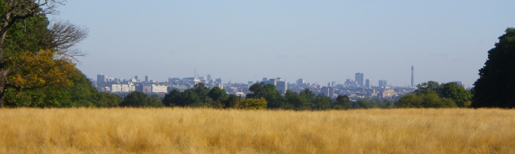 London as seen from some random field